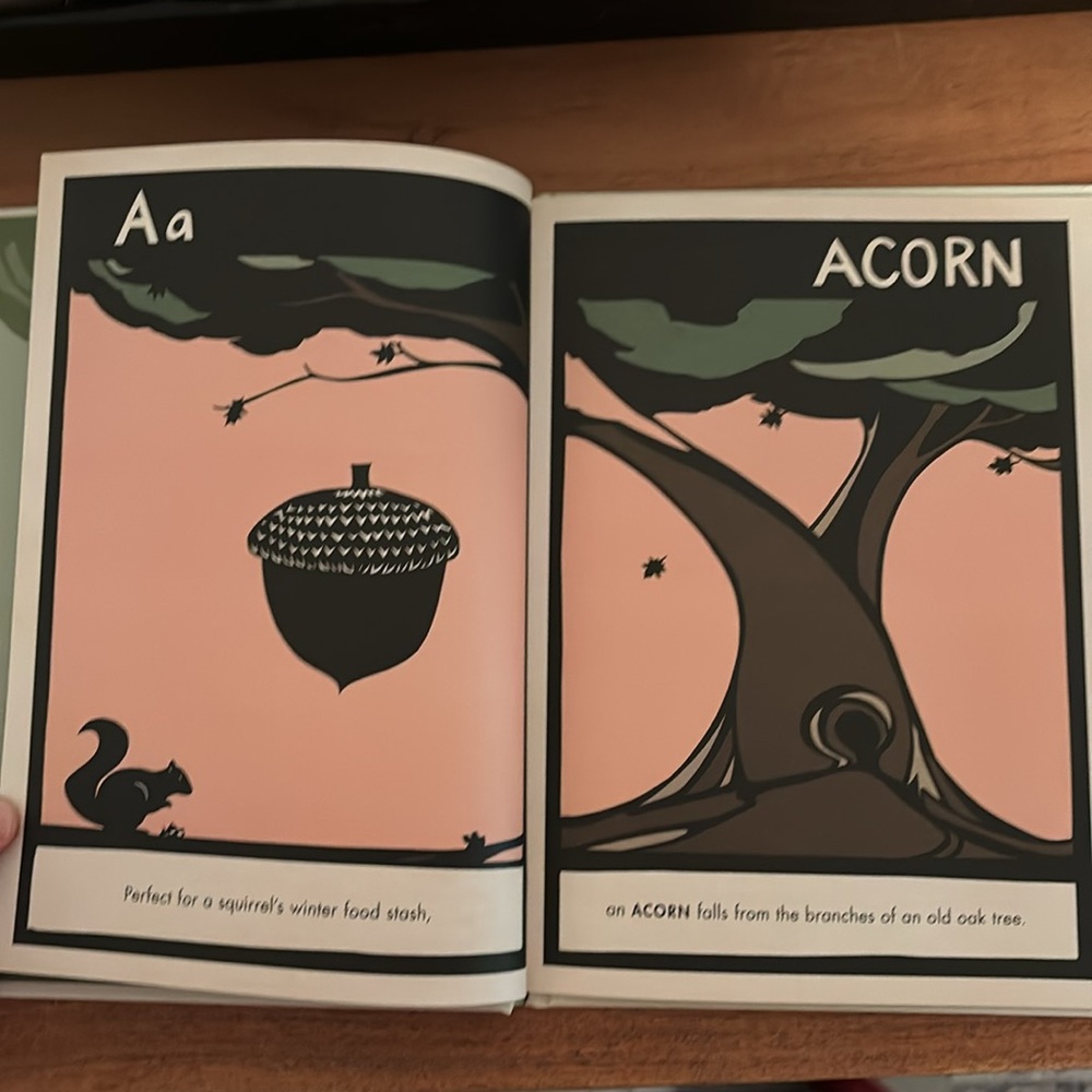 B is for Bear by Hannah Viano alphabet book PNW - Picture 3 of 8